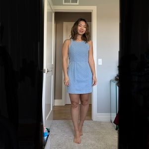 Dolce Vita Denim Dress